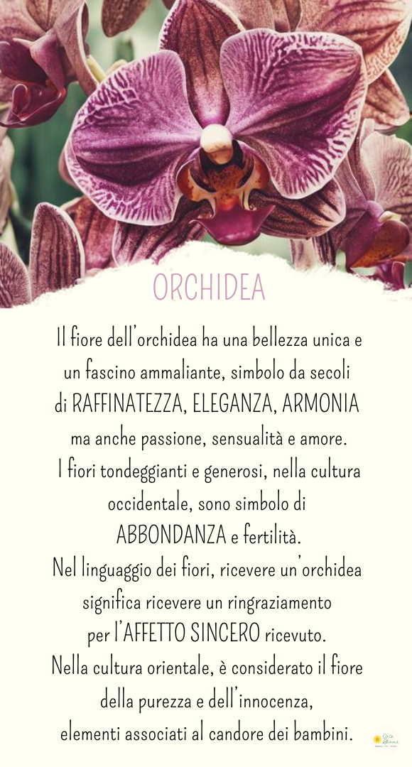 Bracciale Orchidea
