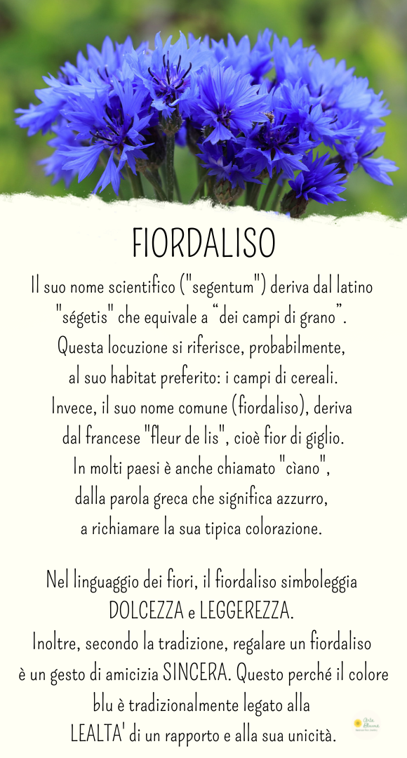 Bracciale Fiordaliso