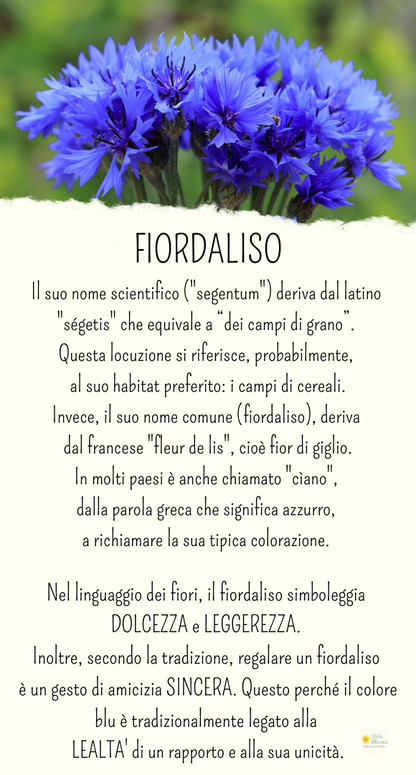 Bracciale Fiordaliso